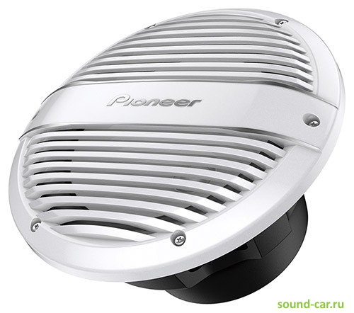 - Pioneer TS-ME100WS